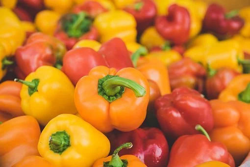 Bien choisir son coupe légume professionnel