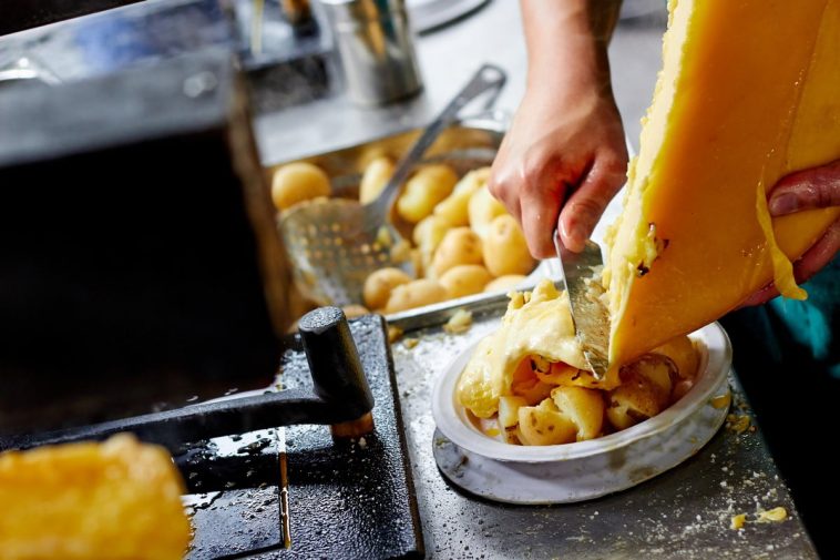 Appareil à raclette professionnel
