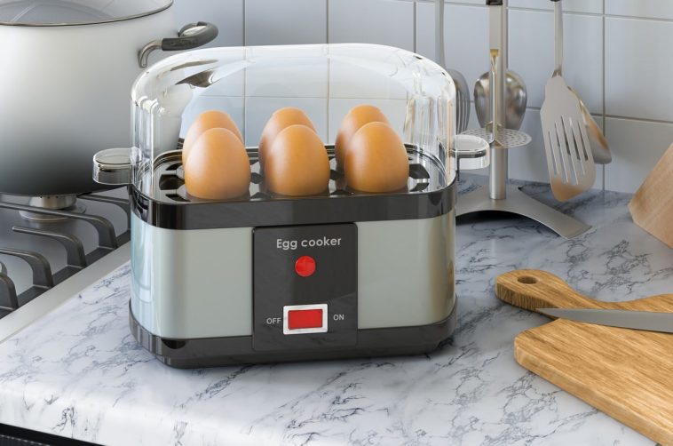 Cuiseur à oeufs
