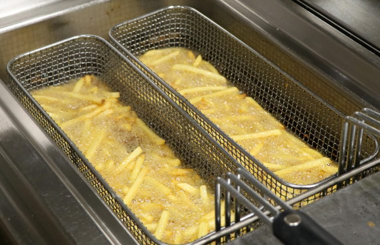 Friteuse professionnelle