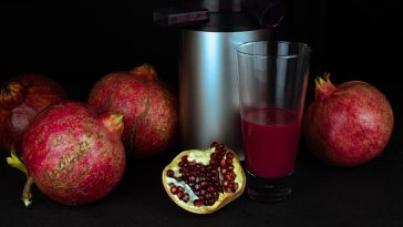 extracteur de jus