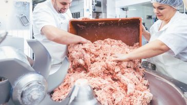 Mélangeur à viande