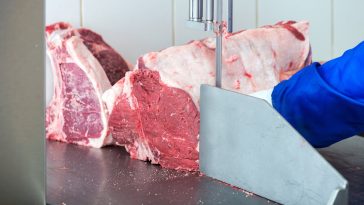 Scie-a-os-viande