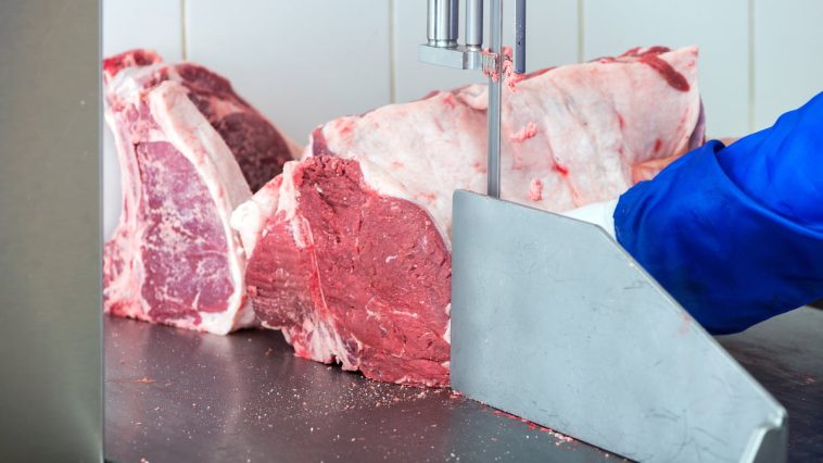 Scie-a-os-viande