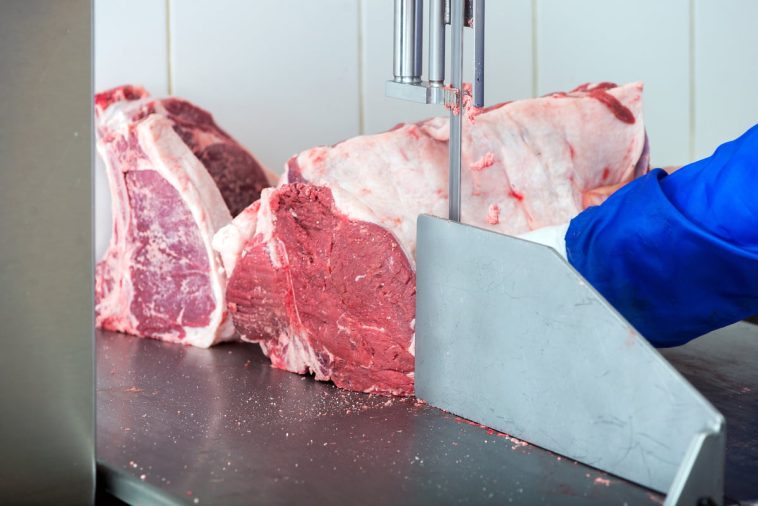 Scie-a-os-viande