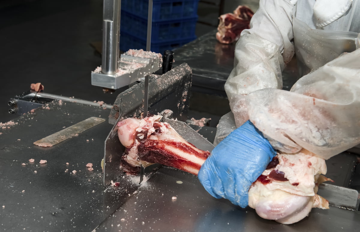 Scie à os viande