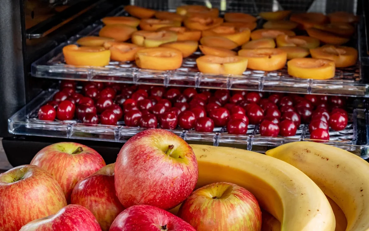 Comment fonctionne un déshydrateur alimentaire ?