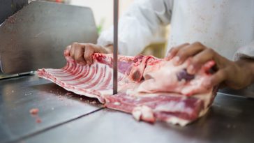scie à os viande