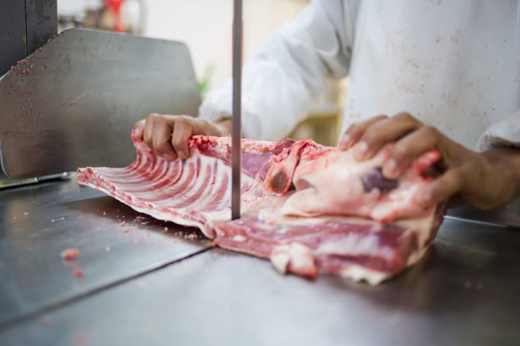 scie à os viande