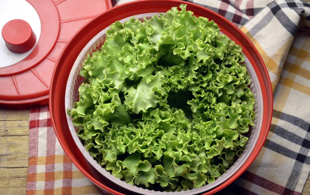 Gastlando Essoreuse à Salade 12 Litres - Manivelle Inox, Robuste Et Efficace