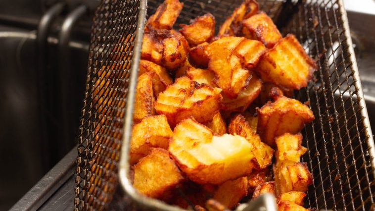 friteuse-a-gaz-horeca
