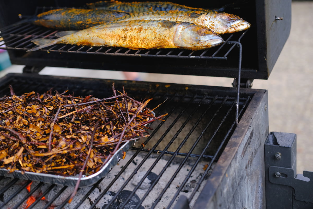 sciure-barbecue