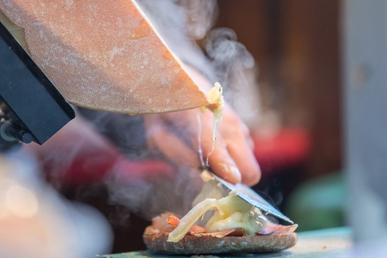 Appareil à Raclette Traditionnel LOUIS TELLIER Brezière PREMIUM - Noir Poignées Bois - Fabrication Française - 1000W - Pliable