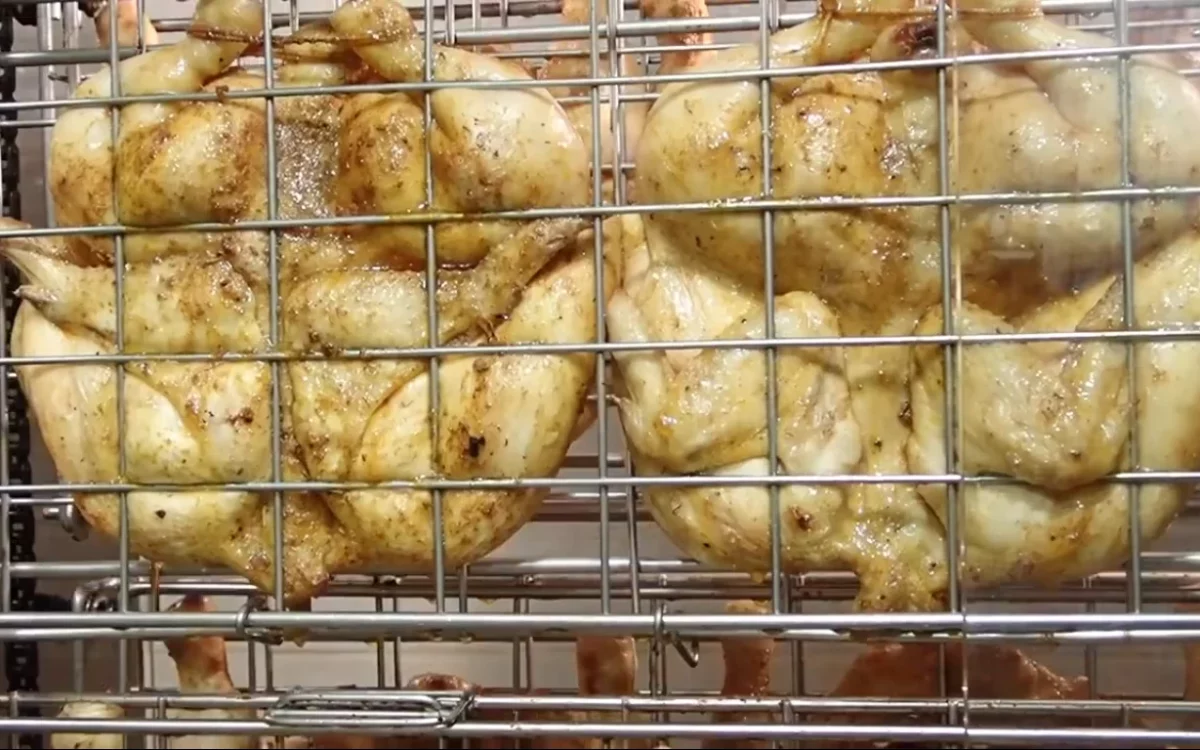 Rotisol Brasilia: Présentation de la rôtissoire à gaz pour poulets 