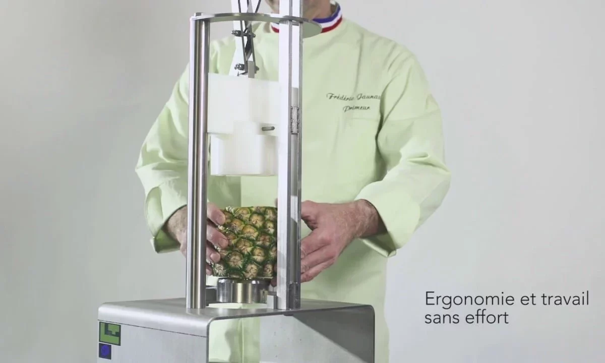 Épluche ananas électrique Louis Tellier EA-EL : Efficacité et confort