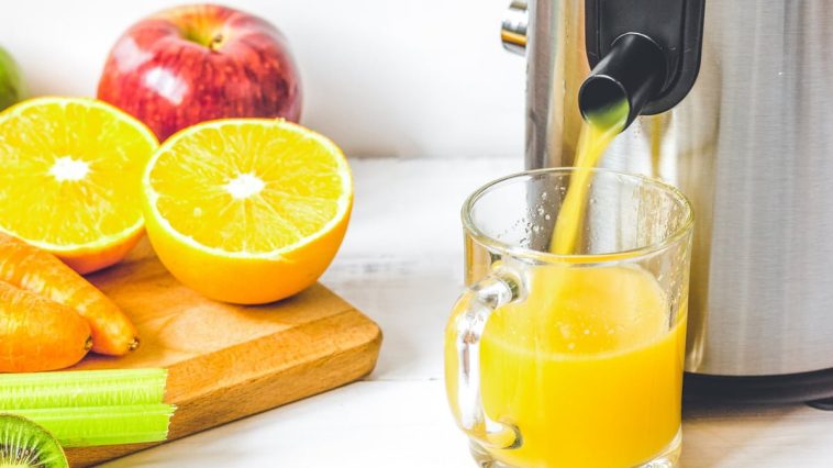 extracteur de jus professionnel