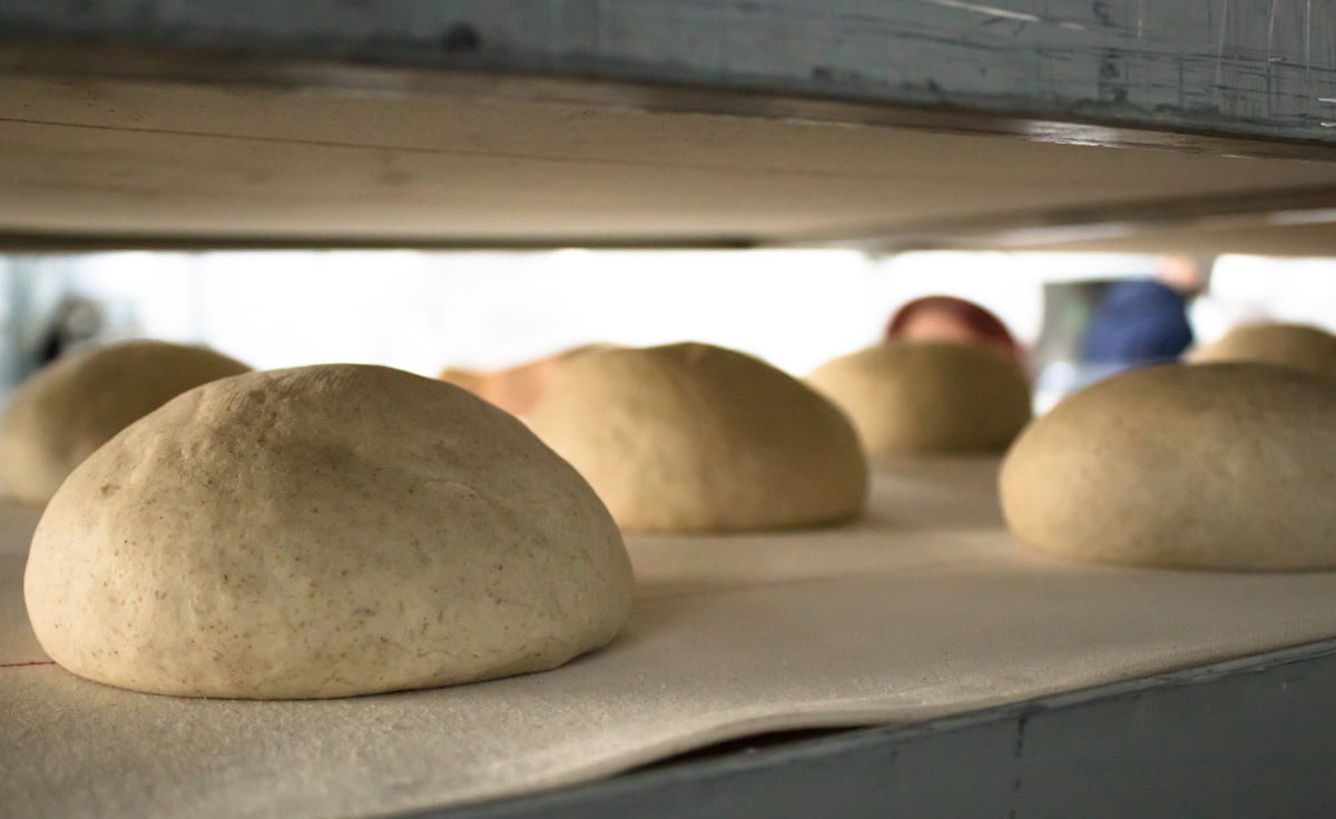 fermentation Boulangerie