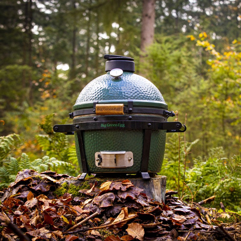 big-green-egg-minimax.jpg