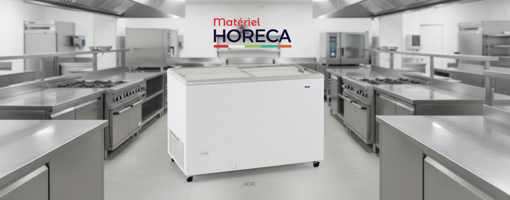 Congélateur coffre à crème glacée 222L Iceshop GTO220GI professionnel CHR vue extérieure