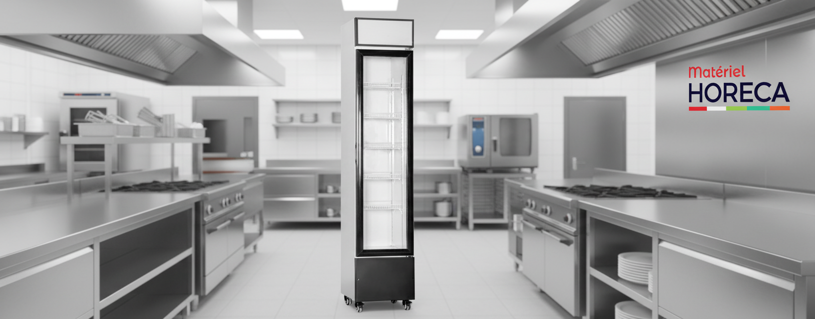 Iceshop SF-175 Verticale Koelvitrine met Negatieve Temperatuur, 175 Liter, Professioneel